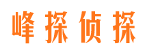 金台市侦探